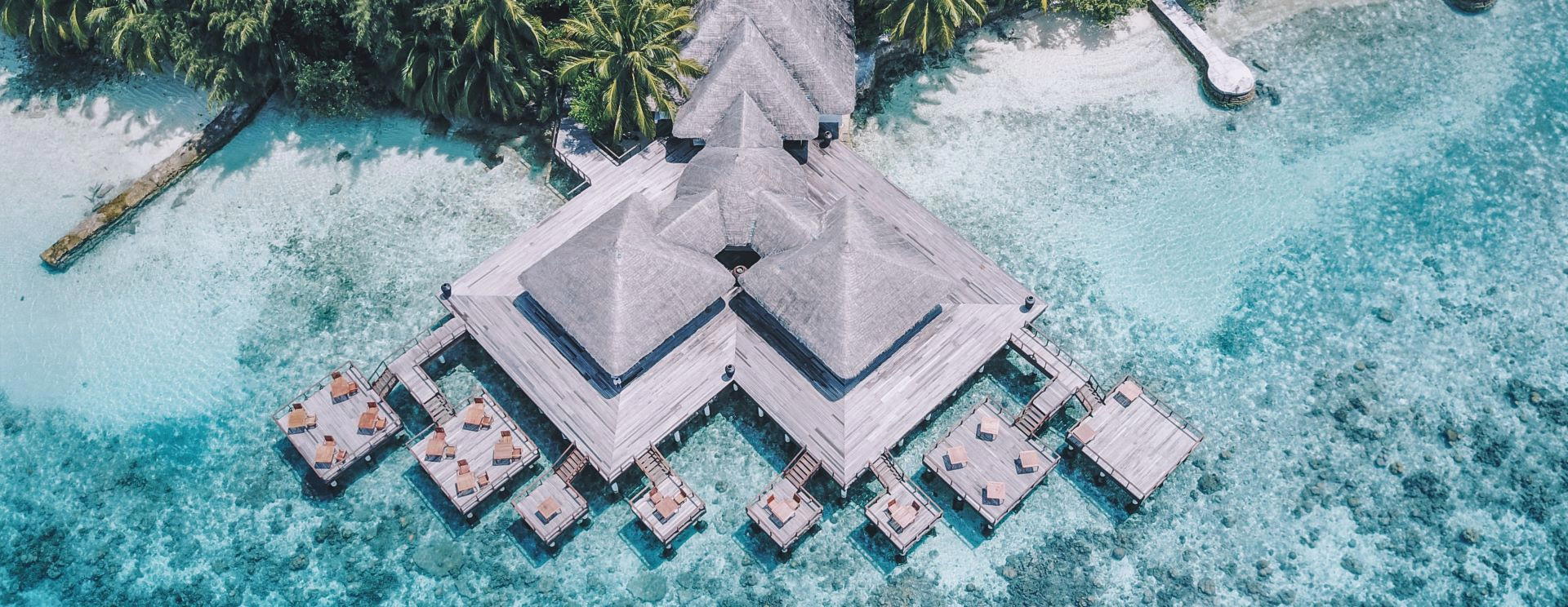 Aqua
