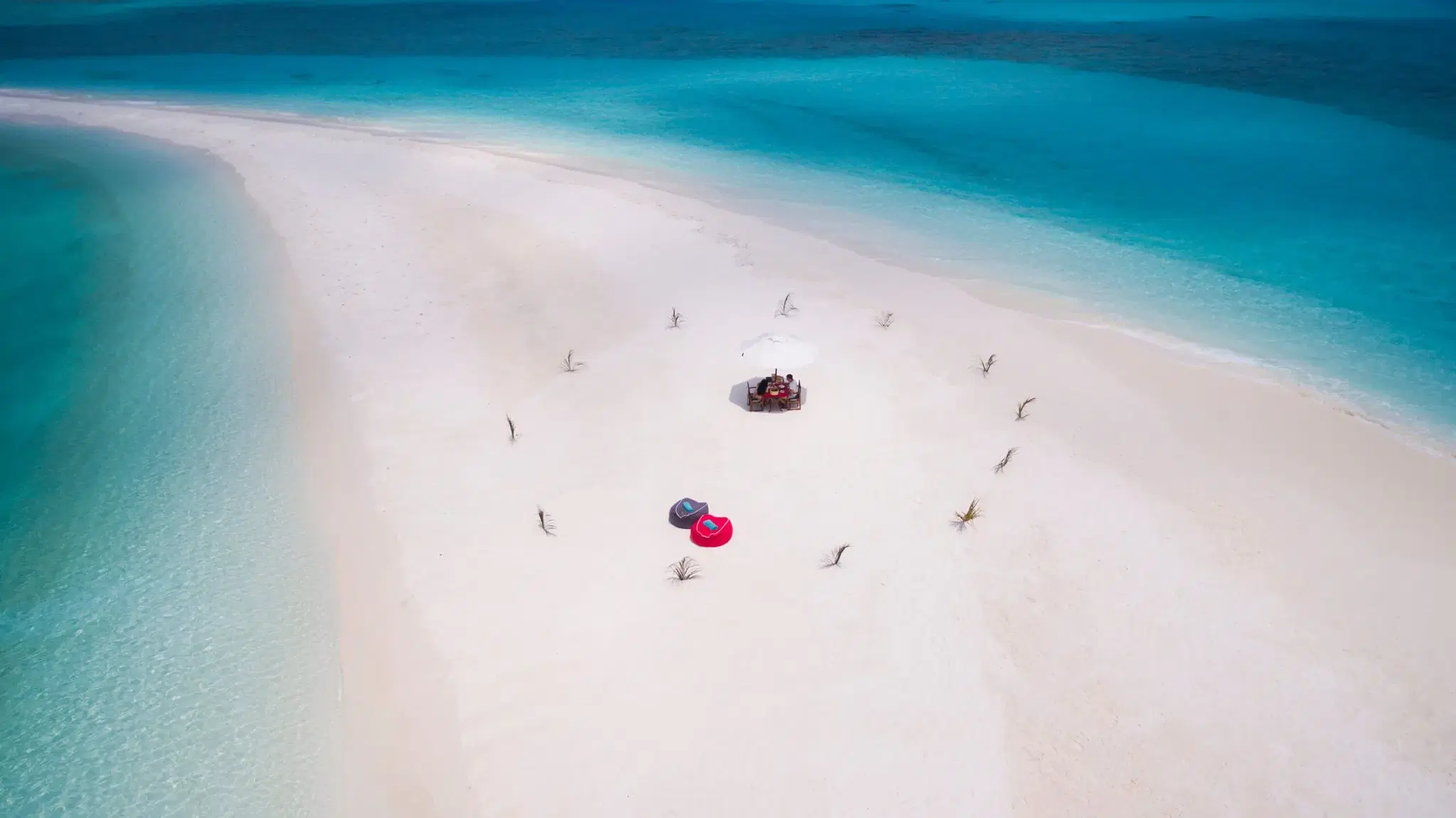 SANDBANK LUNCH