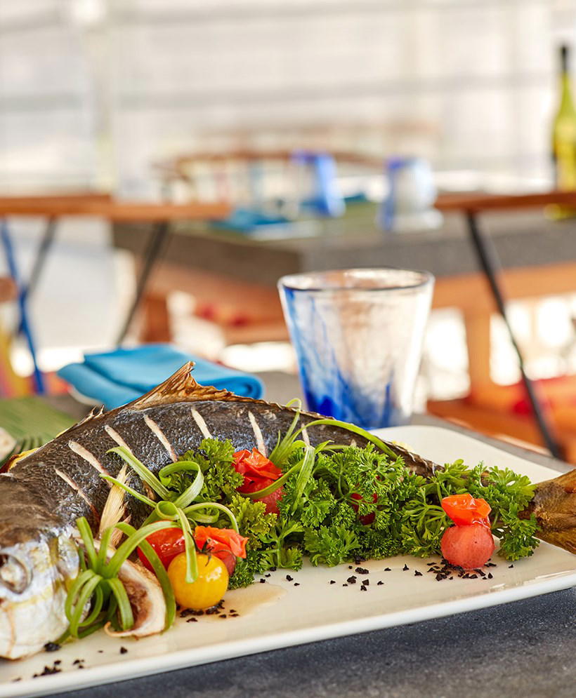 Grouper Grill