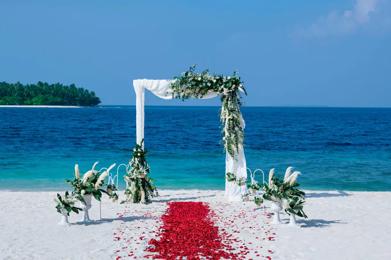 Weddings and Vow Renewals
